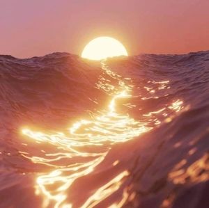 Meet your Posher, Shauna